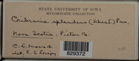Image Associated With the Occurence